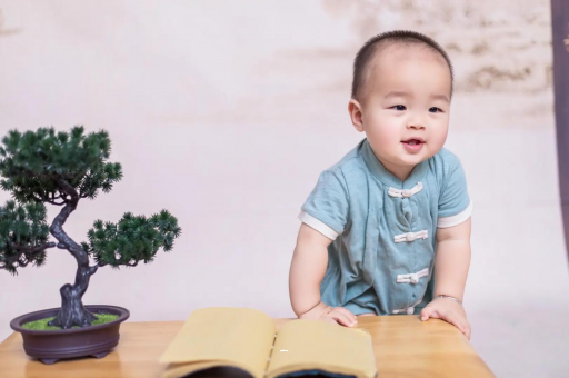 莒县可爱的企鹅宝宝